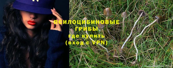 мдпв Верея